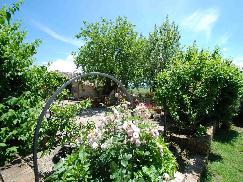Agriturismo Etrusco Murlo Εξωτερικό φωτογραφία